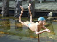 Rüdiger, genannt Peter Rüdiger, genannt Peter