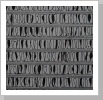 10 x10 cm